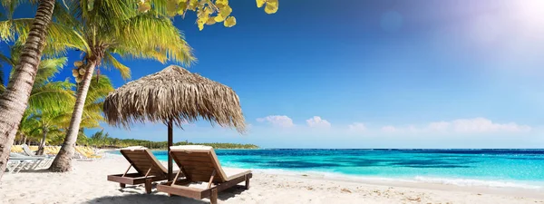 带木椅和稻草伞的加勒比棕榈海滩 田园诗般的岛屿 — 图库照片