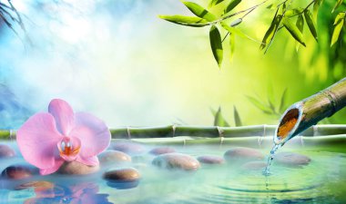 Zen bahçesi - orkide kayalar ve bambu Japon Çeşme
