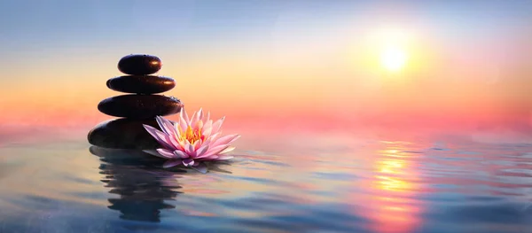 Zen Concept Spa Stones Waterlily Lake Sunset — Stock Photo, Image