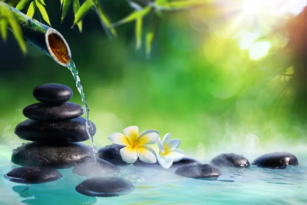 Plumeria Flowers Japanese Fountain Massage Stones Bamboo Zen Garden — Stock Photo, Image