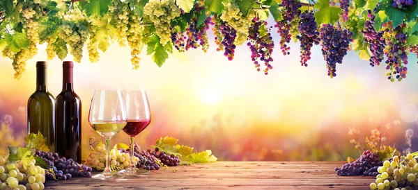 Botellas Gafas Vino Con Uvas Atardecer — Foto de Stock