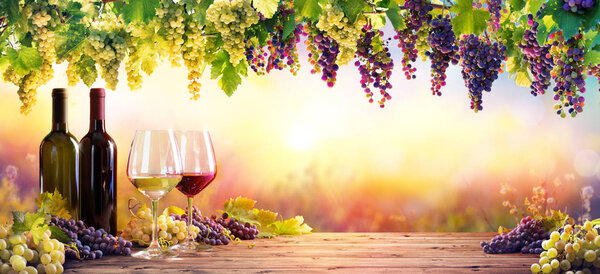 Bottles And Wineglasses With Grapes At Sunset