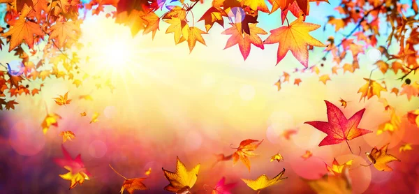 Falling Autumn Red Leaves Sunlight Fall Background — Stock Photo, Image