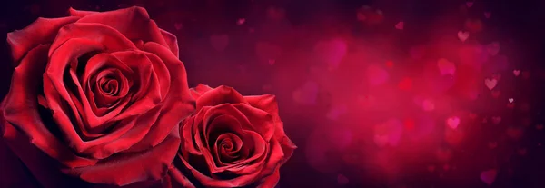 Ζευγάρι Κόκκινα Τριαντάφυλλα Σχήμα Καρδιάς Φόντο Κόκκινο Πάθος — Φωτογραφία Αρχείου