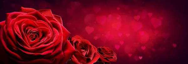 Červené Růže Tvaru Srdce Pozadím Red Passion — Stock fotografie