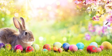 Adorable Bunny With Easter Eggs In Flowery Meadow clipart