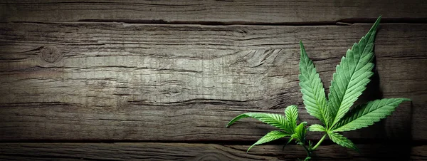 Cannabis Sativa Blätter Auf Holztisch Medizinisches Legales Marihuana — Stockfoto