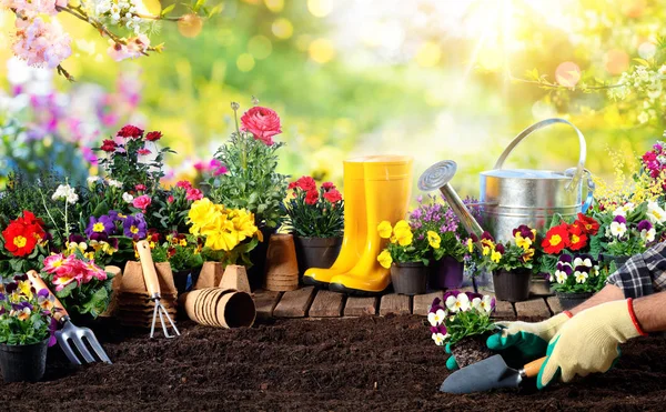 Jardinería Equipo Para Jardinero Macetas Jardín Soleado — Foto de Stock