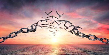 On The Wings Of Freedom - Birds Flying And Broken Chains - Charge Concept clipart