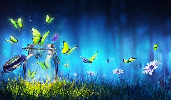 Freedom Concept Magic Butterflies Flying Out Jar Lawn — Stock Photo, Image