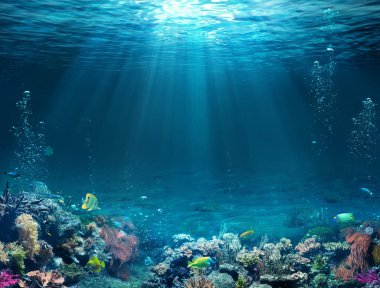 Sualtı Scene-resif ve Sunshine Ile tropikal seabed