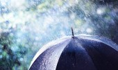Regen und Wind auf schwarzem Regenschirm - Wetterkonzept