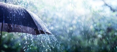 Rain On Umbrella - Weather Concept clipart