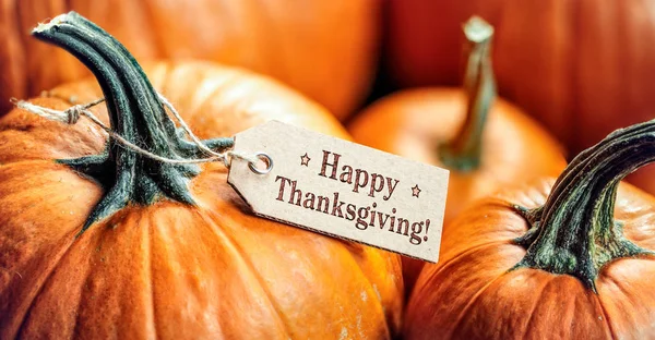 Pompoenen Met Happy Thanksgiving Papier Tag — Stockfoto