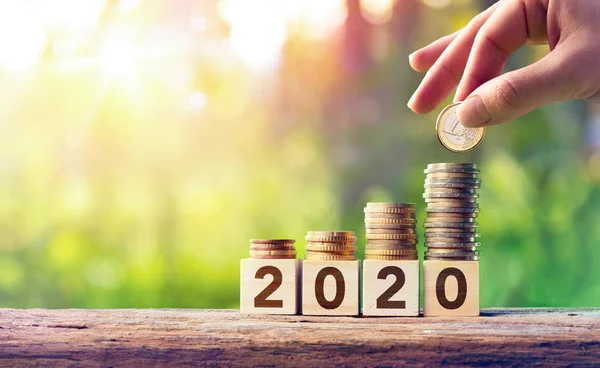 Growth Forecast Concept 2020 Coins Stack Wooden Blocks — Stock Photo, Image