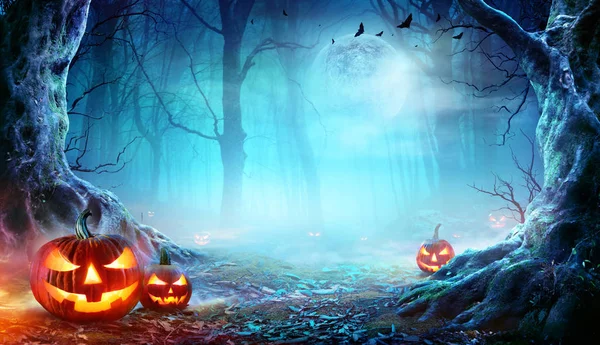 Jack Lámpások Kísérteties Erdőben Holdfényben Halloween — Stock Fotó