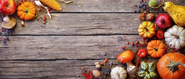 Şükran Günü Bayrağı - Kırsal Plank 'ta Kabaklar