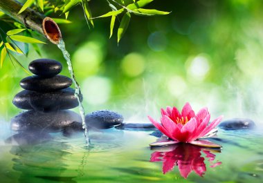 Spa Taşları ve Zen Bahçesindeki Çeşmeli Su Zambakları - Asya Kültürü