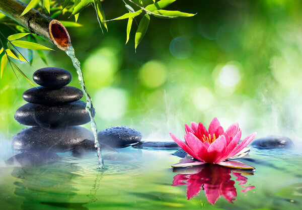 Spa Stones And Waterlily With Fountain In Zen Garden - Asian Culture