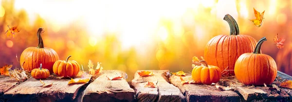 Citrouilles Sur Planche Vieillie Coucher Soleil Automne Table Récolte — Photo