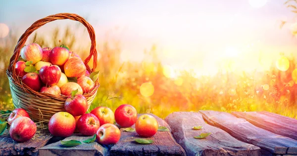 Röda Äpplen Korgen Ålderdomligt Bord Med Oskärpa Solnedgång Bakgrunden Fall — Stockfoto
