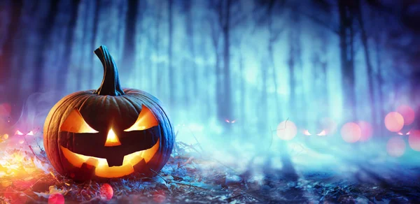 Dynia Nieostrym Lesie Upiorne Nocy Koncepcja Halloween — Zdjęcie stockowe