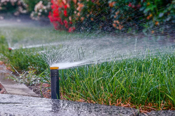      otomatik cihazlar ile çim çimlerin sabah dosed sulama                          