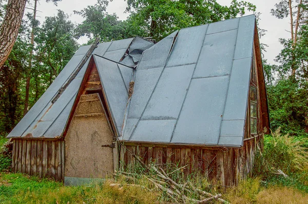 倒壊する鉄の屋根で覆われた薪を格納するための古い家の納屋 曇りの日の森の中で撮影 — ストック写真