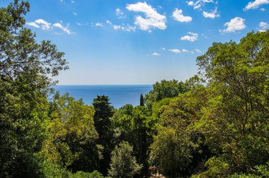 SONY DSC Yazın güneşli havası olan Nikitsky Botanik Bahçeleri 'nin yanından Karadeniz görünmüyor.