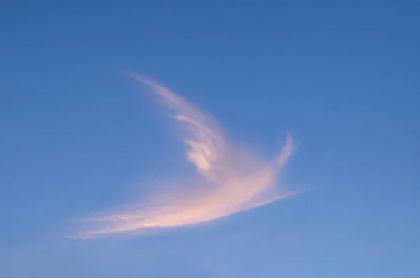 Ucrania Norte Del País Una Nube Forma Pájaro Cielo Atardecer — Foto de Stock