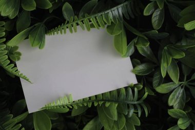 yeşil arka plan üzerinde beyaz boş kart