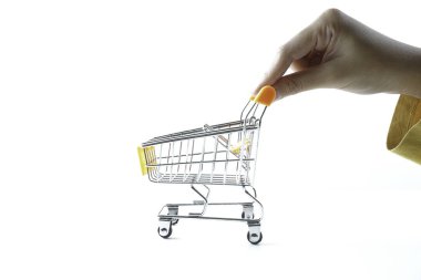 kişi el tekerlekler üzerinde küçük metal alışveriş sepeti oyuncak iterek
