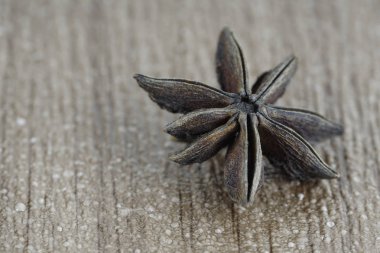 Ahşap arka planda anason yıldızı, yakından görünüm