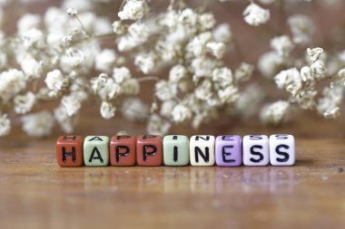 seçici odak. kahverengi arka plan üzerinde bebek nefes çiçek ile renkli alfabe kare boncuk kelime basit kombinasyonu