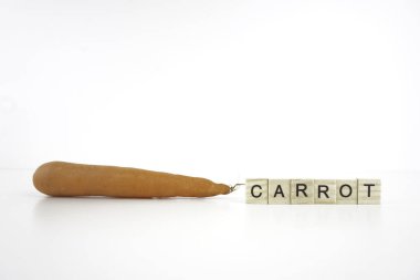 ahşap bloklar ile havuç stüdyo çekim 