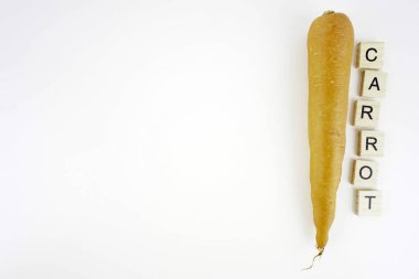 stüdyoda havuç stüdyo çekim 