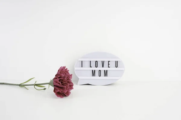 Studio Shot Plastic Speech Bubble Carnations Flower Text Love You — Stock Photo, Image