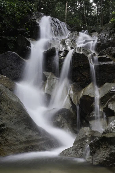 Watervogels Rotsachtige Rivier Met Stromend Water — Stockfoto