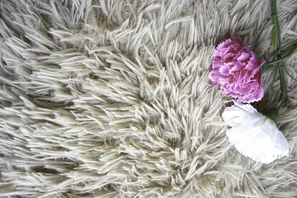 white fluffy rug carpet and flowers, copy space