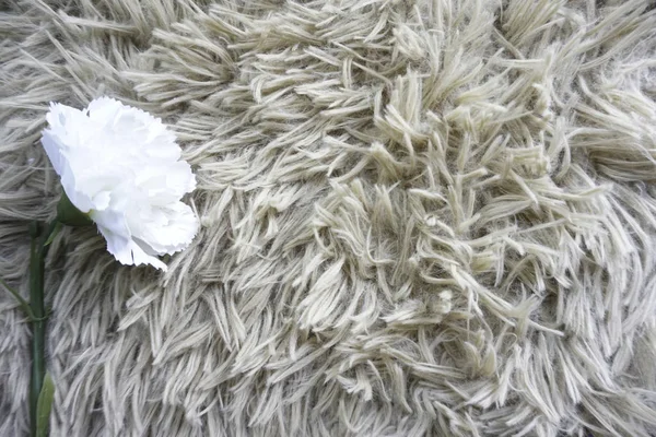 white fluffy rug carpet and one flower, copy space