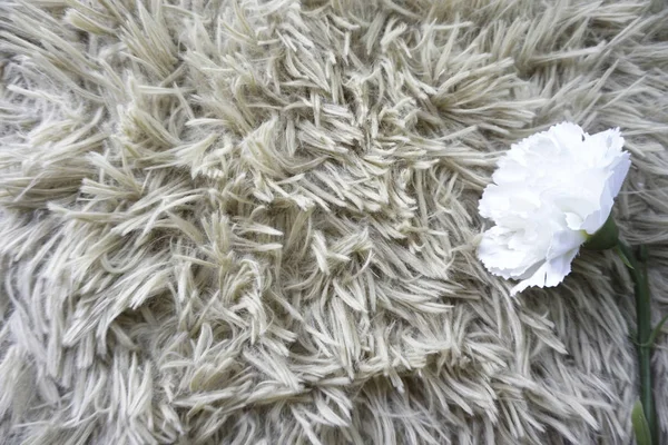 white fluffy rug carpet and one flower, copy space