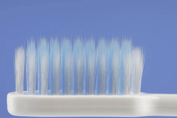 Macro Shot Toothbrush Bristle — Stock Photo, Image