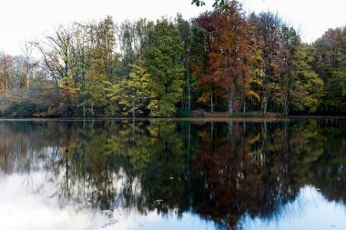 Güz ormanı göl suyuna yansıyan güzel doğal arka plan..