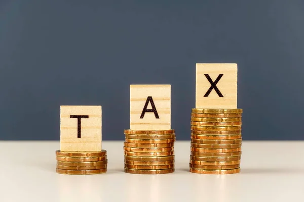 Taxes Pièces Argent Financier — Photo