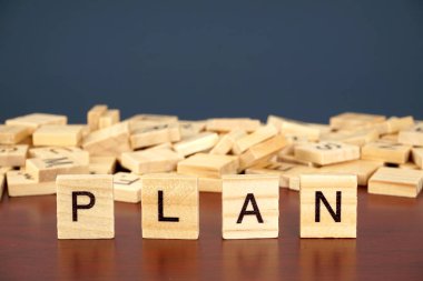 Tahta blok ve bir Plan sözcüğü - Yönetim için iş kavramı