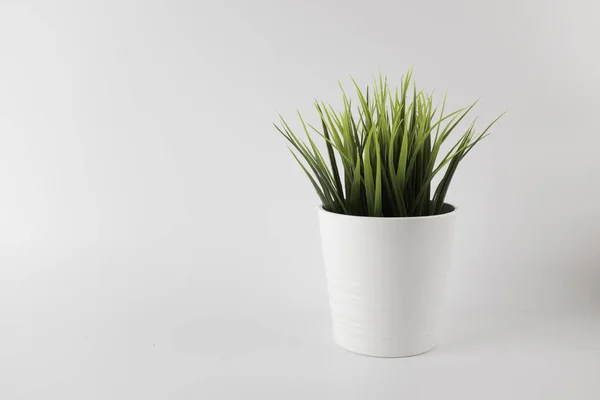 Planta Vaso Artificial Vaso Branco Sobre Fundo Branco — Fotografia de Stock