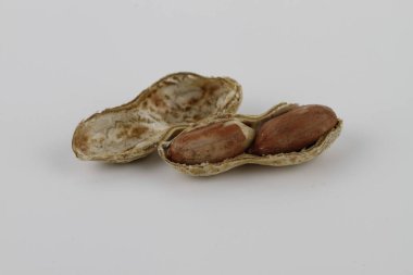 Beyaz arka planda kurutulmuş tavuk.