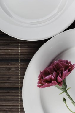 kırmızı bir tabak.