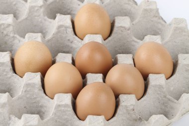 Kutuda taze balkabakları