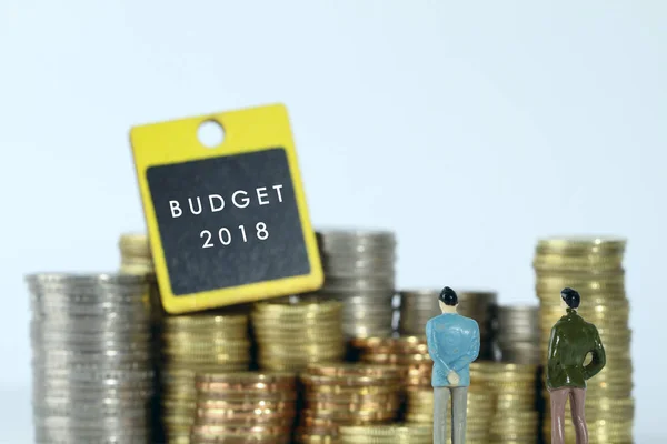 Pièces Monétaires Métal Budget 2018 — Photo